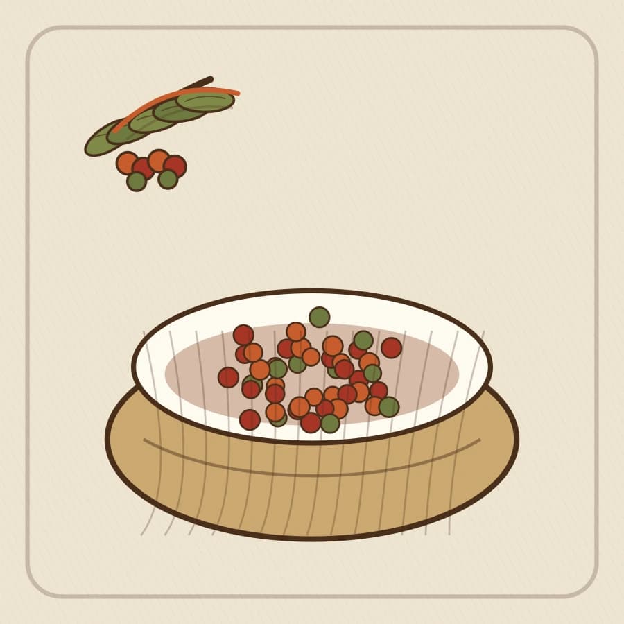 Vintage-style illustration of freshly picked Colombian coffee cherries