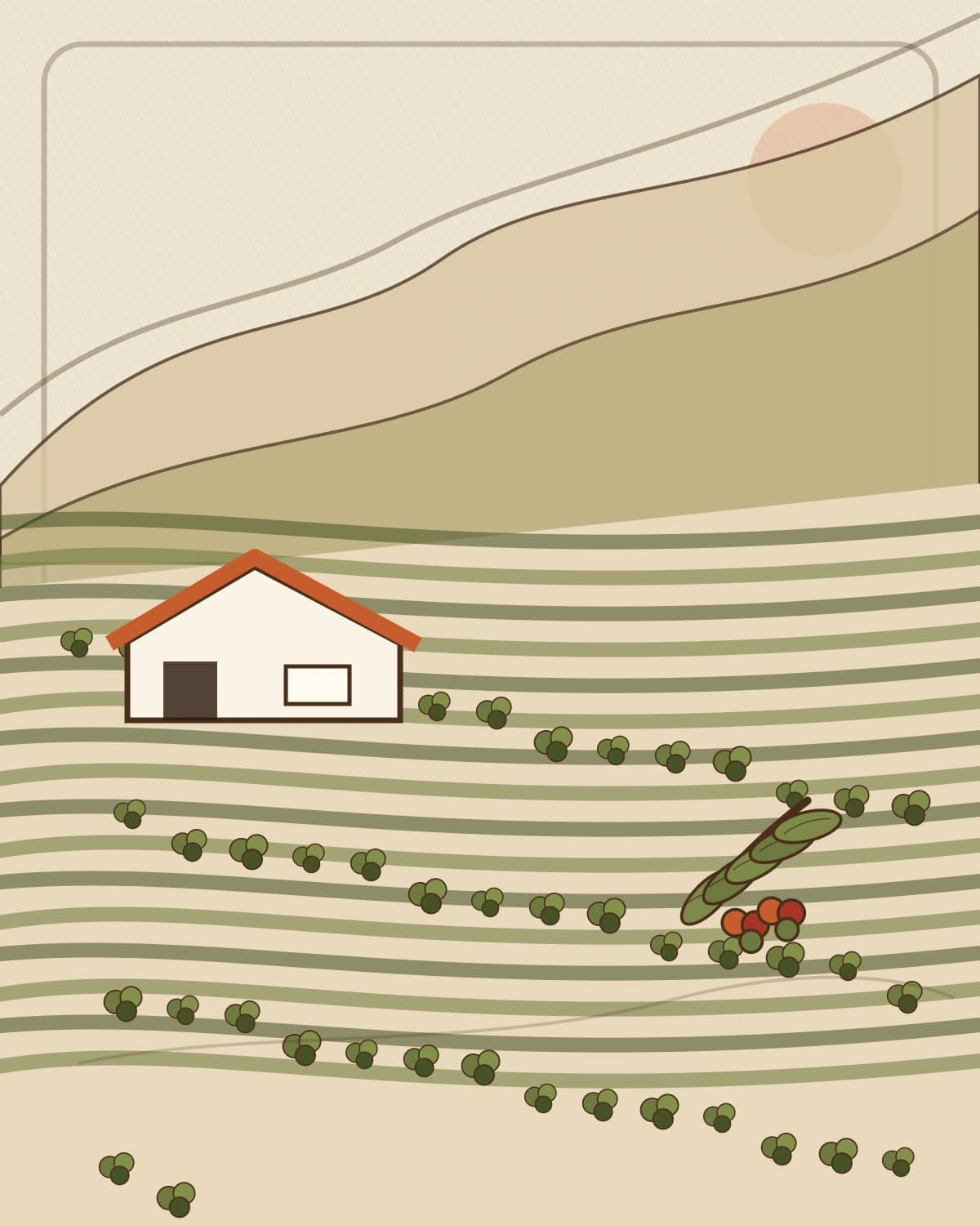 Vintage-style illustration of a coffee farm in the Huila mountains